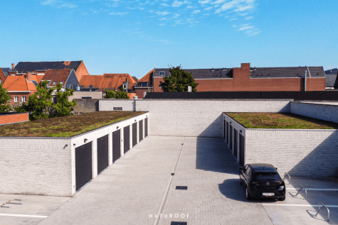 Sedumdak, extensief groendak Naturoof