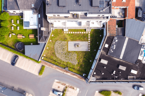 Semi-intensief groendak Naturoof