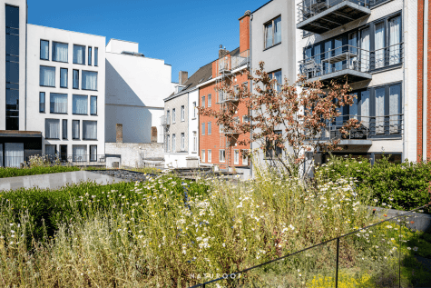 Daktuin in Parkhotel Kortrijk