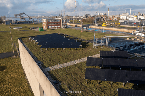 Groendak met zonnepanelen Antwerpen