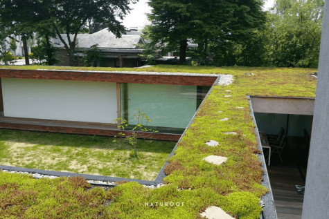 biodiversiteitsdak in waregem