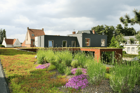 biodiversiteitsdak naturoof in west-vlaanderen