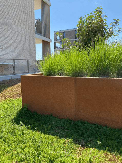 sedumdak en plantenbakken naturoof greenfront in brugge