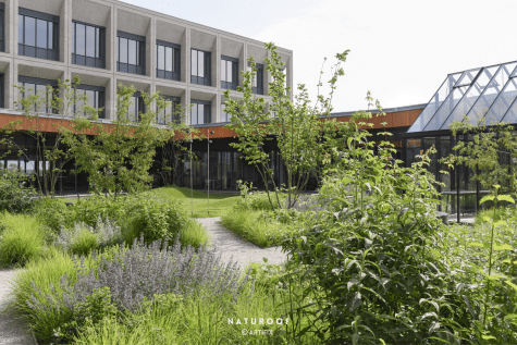 Dakmoestuin Naturoof in Drongen