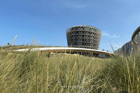 dakpark naturoof casino in middelkerke