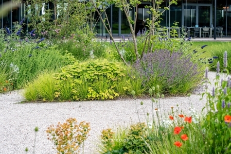 Daktuin in Gent