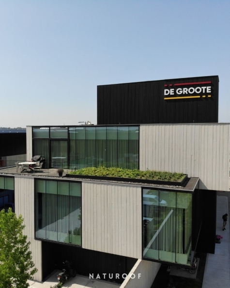 semi-intensief groendak Naturoof in De Pinte
