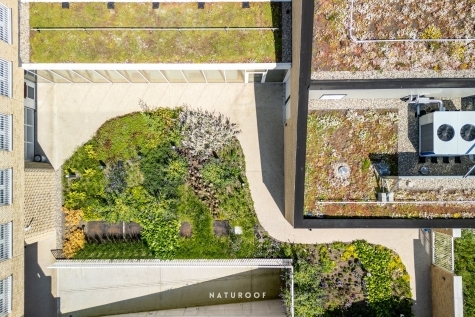 daktuin Naturoof De Watergroep in Gent