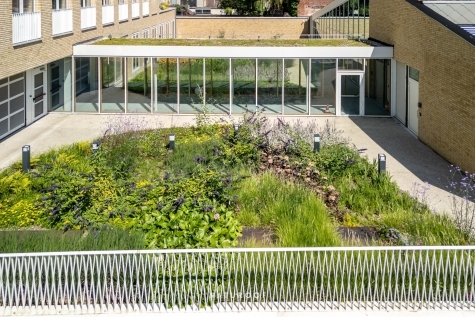 daktuin De Watergroep in Gent