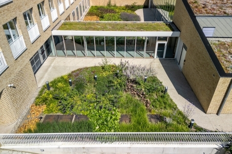 daktuin Naturoof De Watergroep in Oost-Vlaanderen