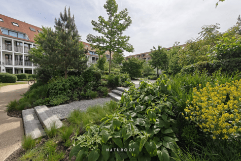 daktuin naturoof duinenwaterhof in knokke