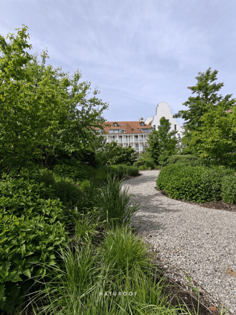 daktuin naturoof duinenwaterhof in knokke-heist