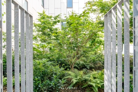 daktuin Mercure Hotel in Roeselare