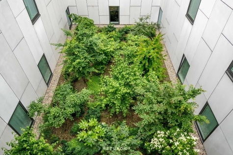 Daktuin Mercure te Roeselare