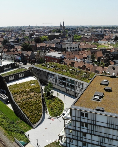 Daktuin Naturoof Roelevard