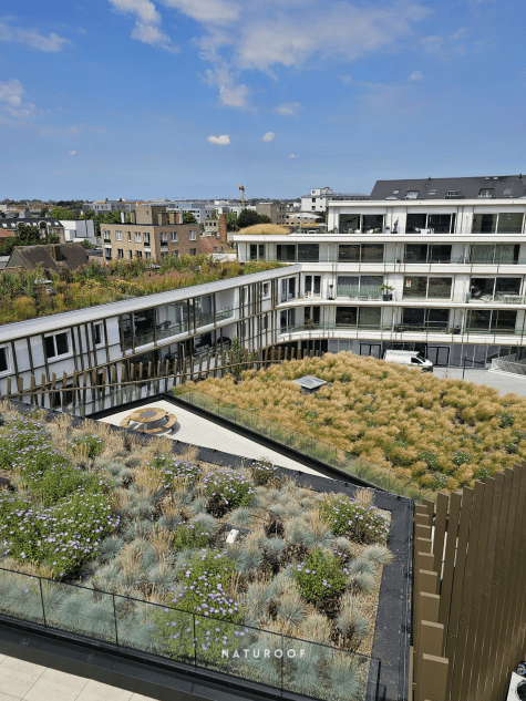 Daktuin Naturoof West-Vlaanderen