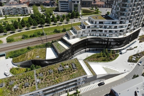 daktuin Roeselare