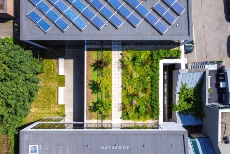 daktuin naturoof sint jozefscollege in aalst