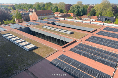 extensief groendak naturoof in brugge