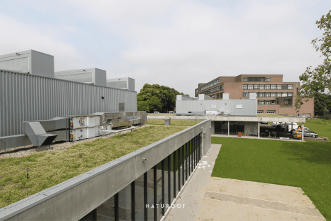 extensief groendak naturoof in west-vlaanderen