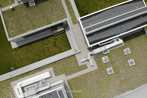 extensief groendak KTA in brugge