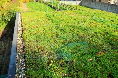 extensief groendak naturoof carport in anzegem