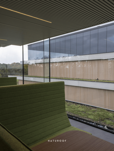 extensief groendak o forty in oostkamp