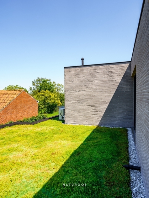 extensief groendak naturoof in roeselare