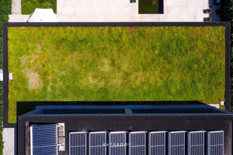 extensief groendak in roeselare