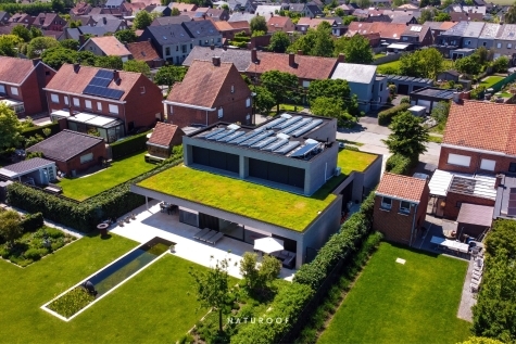 extensief groendak in west-vlaanderen