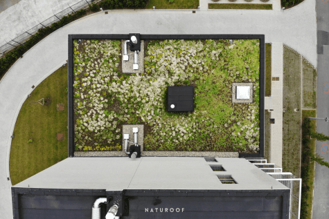 extensief groendak naturoof in kuurne