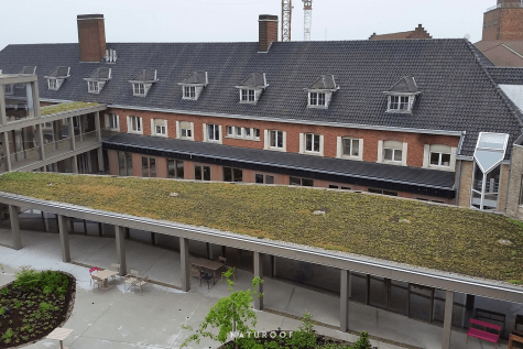 extensief groendak sint-amand in zwevegem