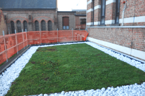 groendak naturoof burgerschool in roeselare