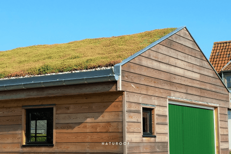 hellend groendak in west-vlaanderen