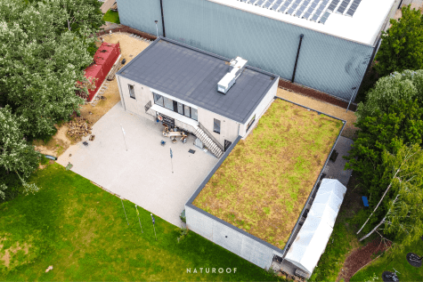 hellend groendak scouts in erpe-mere