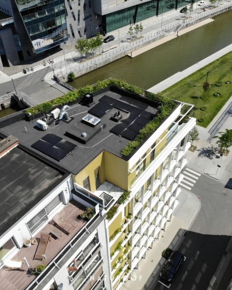 Plantenbakken en gevelgroen Palazz'eau in West-Vlaanderen