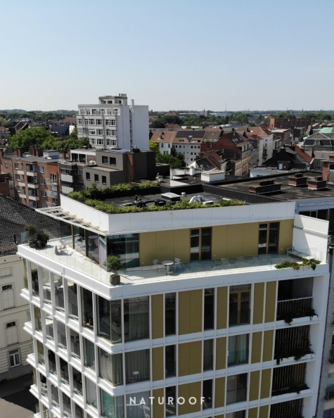 plantenbakken en gevelgroen Naturoof regio Kortrijk