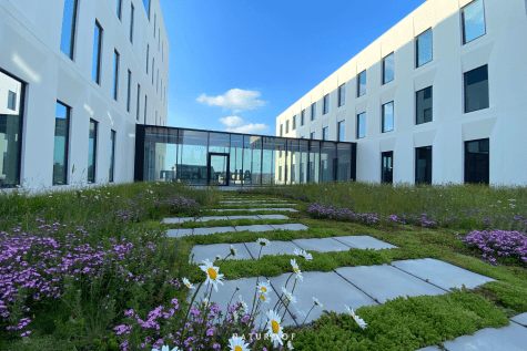 semi-intensieve daktuin naturoof in roeselare