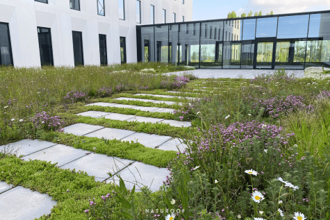 semi-intensieve daktuin r plaza in izegem